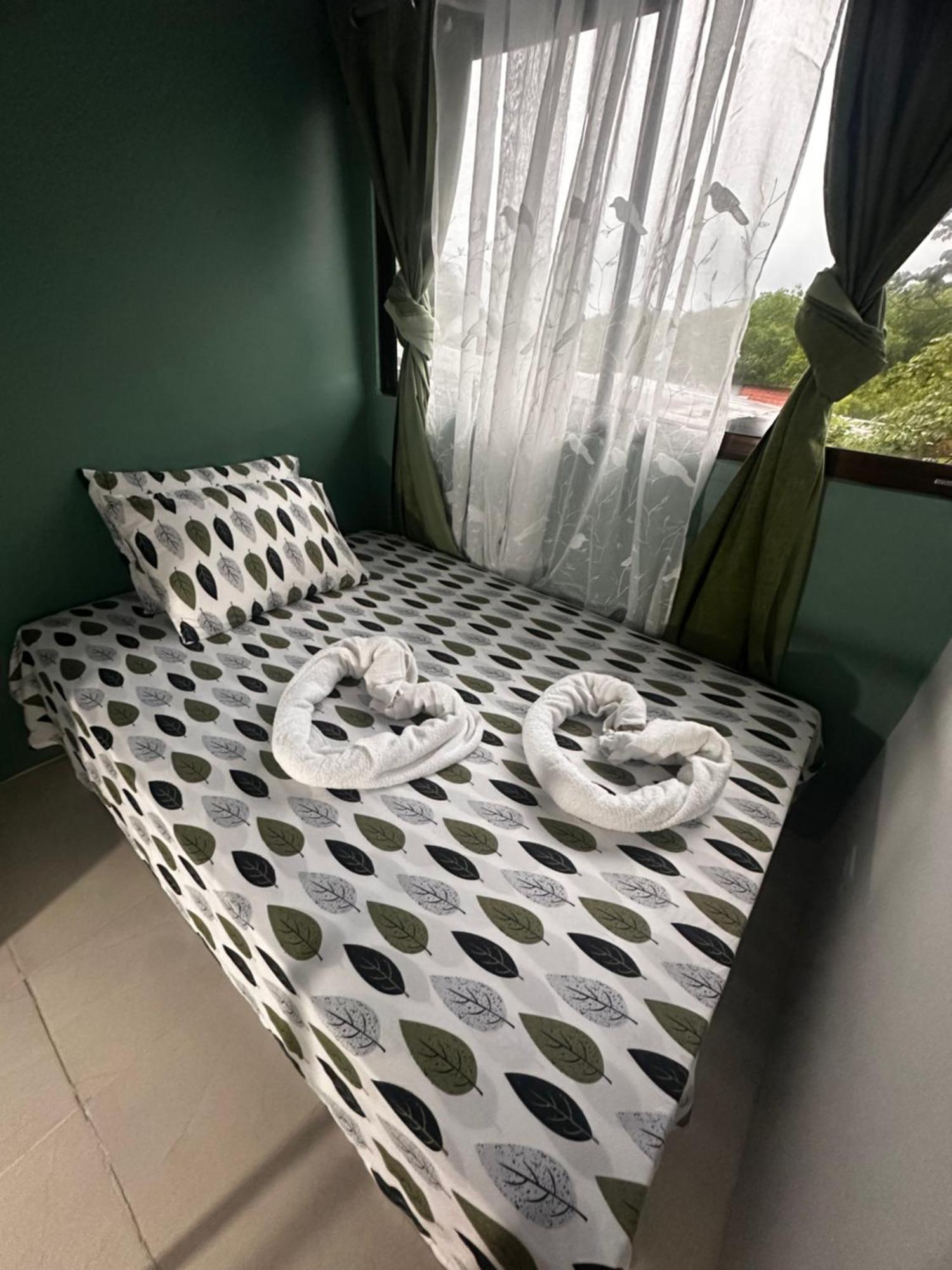 케포스 The Jungle Container B&B 외부 사진